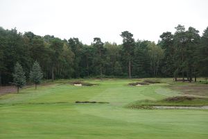 Swinley Forest 5th Fairway